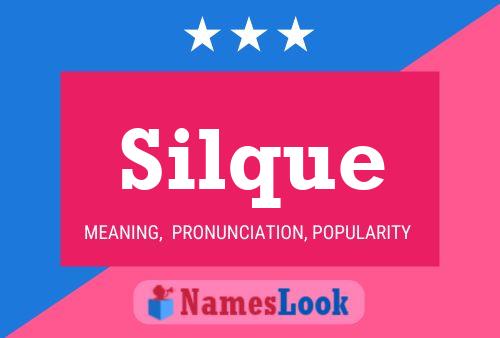 Póster del nombre Silque