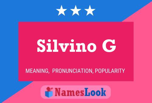 Póster del nombre Silvino G