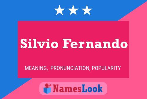 Póster del nombre Silvio Fernando