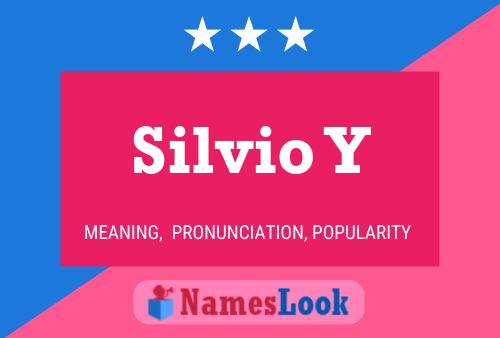 Póster del nombre Silvio Y