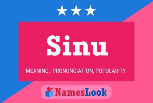 Póster del nombre Sinu