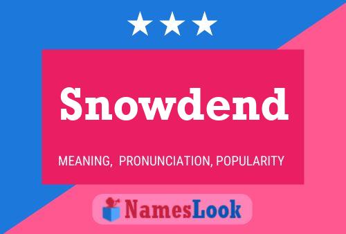 Póster del nombre Snowdend