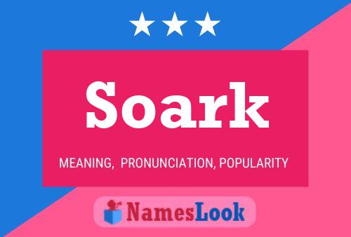 Póster del nombre Soark