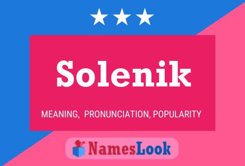 Póster del nombre Solenik