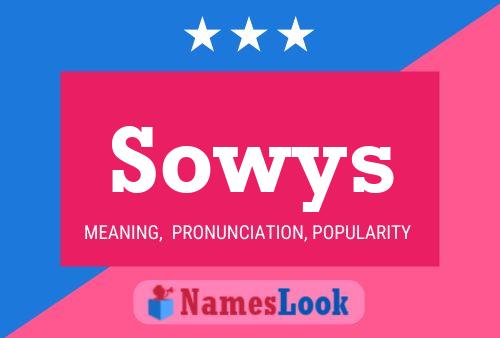 Póster del nombre Sowys