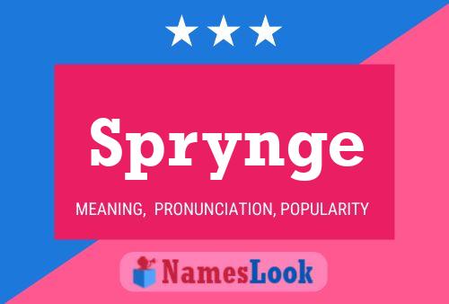 Póster del nombre Sprynge