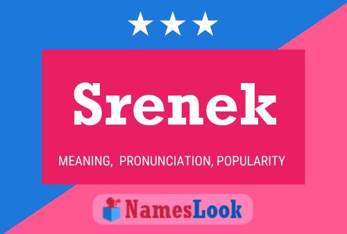 Póster del nombre Srenek