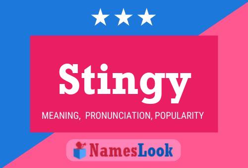 Póster del nombre Stingy