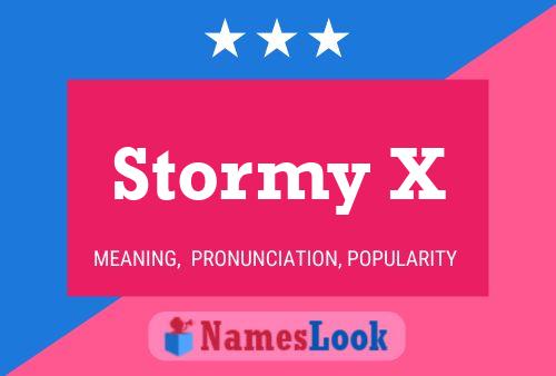 Póster del nombre Stormy X