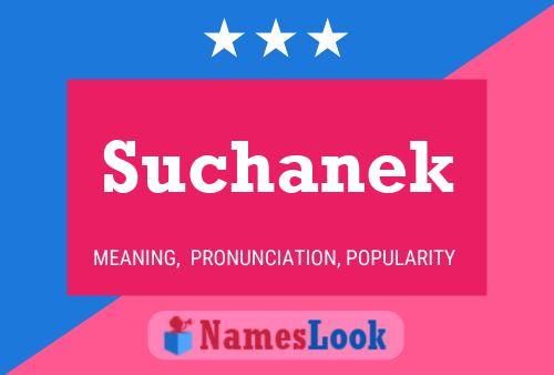 Póster del nombre Suchanek