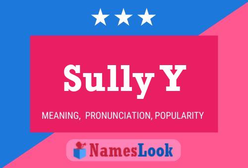 Póster del nombre Sully Y