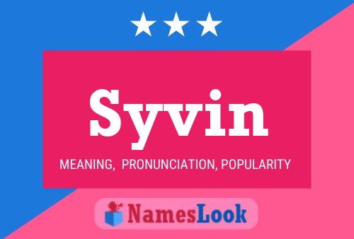 Póster del nombre Syvin