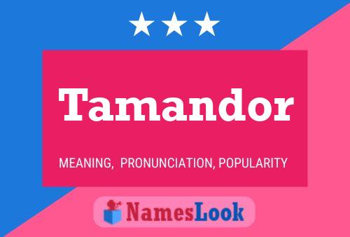 Póster del nombre Tamandor