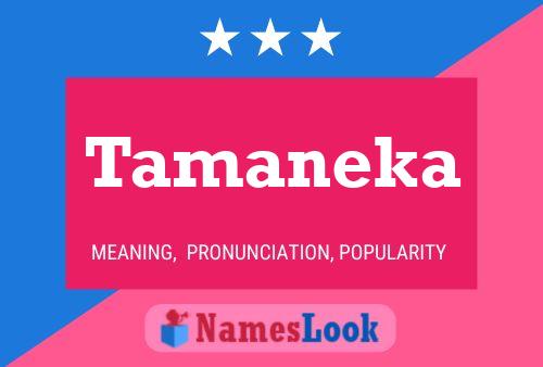 Póster del nombre Tamaneka