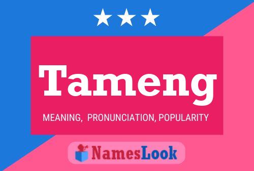 Póster del nombre Tameng