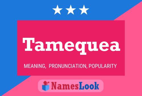 Póster del nombre Tamequea