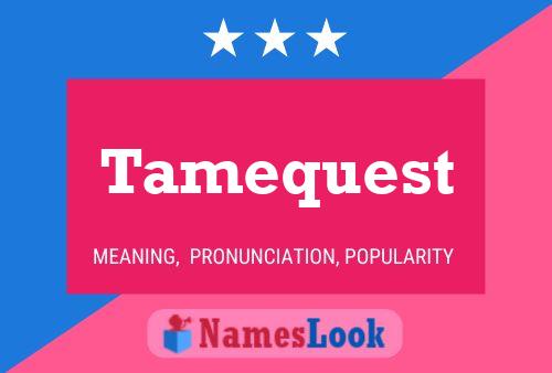 Póster del nombre Tamequest