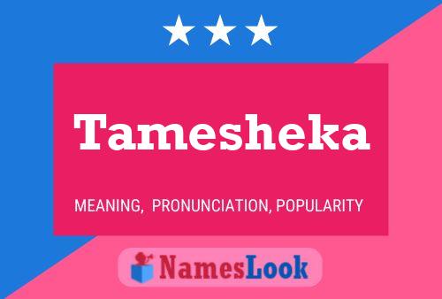 Póster del nombre Tamesheka