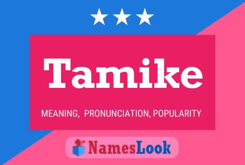 Póster del nombre Tamike