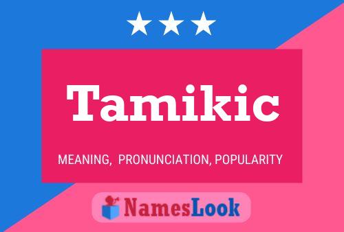 Póster del nombre Tamikic