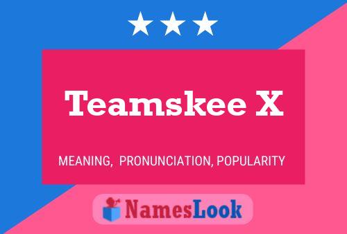 Póster del nombre Teamskee X