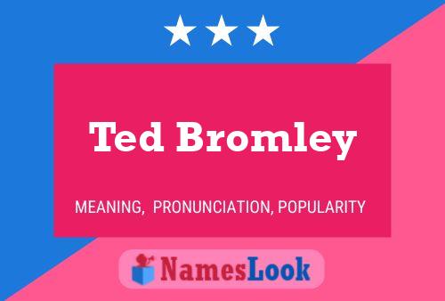 Póster del nombre Ted Bromley