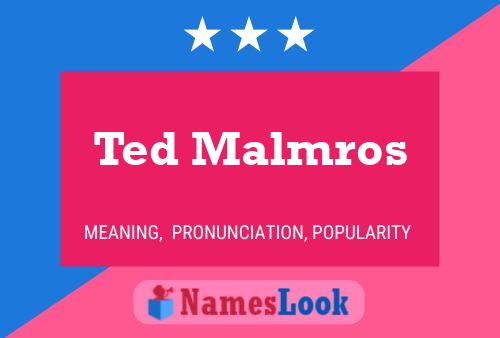 Póster del nombre Ted Malmros