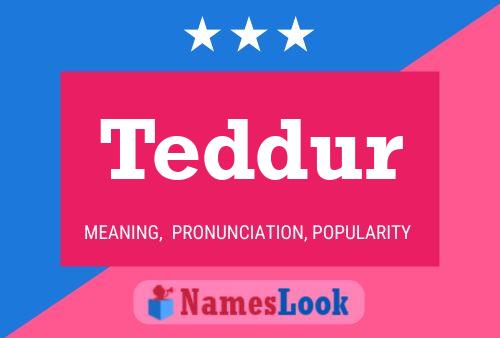 Póster del nombre Teddur