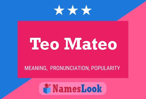 Póster del nombre Teo Mateo