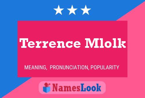 Póster del nombre Terrence Mlolk