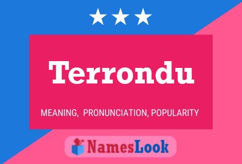 Póster del nombre Terrondu