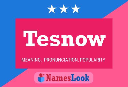 Póster del nombre Tesnow