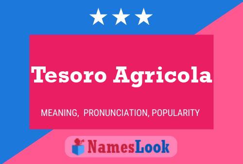 Póster del nombre Tesoro Agricola