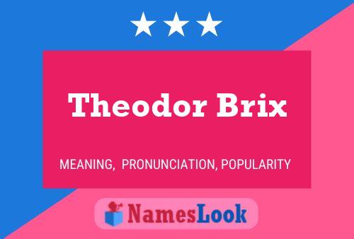 Póster del nombre Theodor Brix