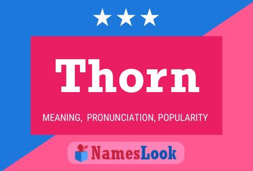 Póster del nombre Thorn