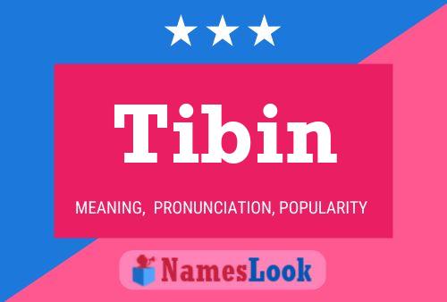 Póster del nombre Tibin