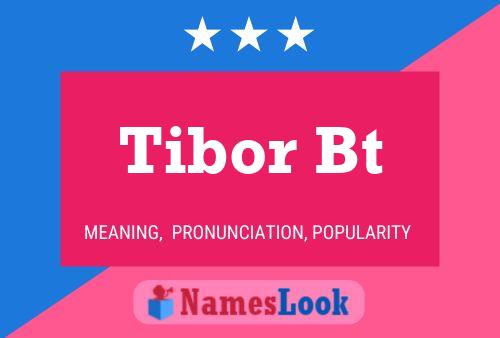 Póster del nombre Tibor Bt