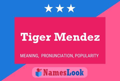 Póster del nombre Tiger Mendez