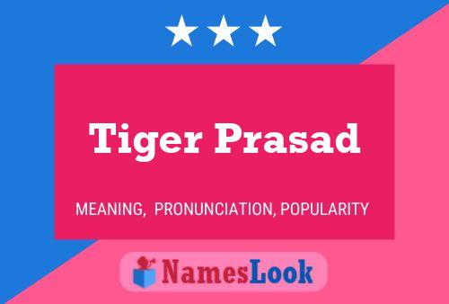 Póster del nombre Tiger Prasad