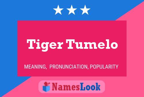 Póster del nombre Tiger Tumelo