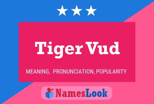 Póster del nombre Tiger Vud