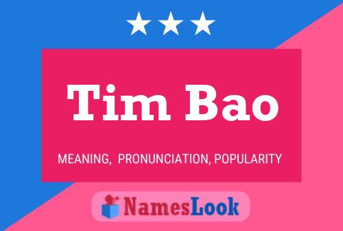 Póster del nombre Tim Bao