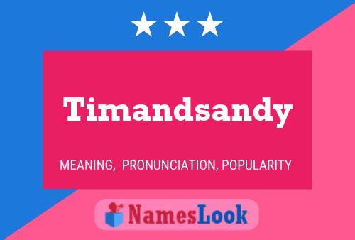 Póster del nombre Timandsandy