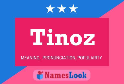 Póster del nombre Tinoz