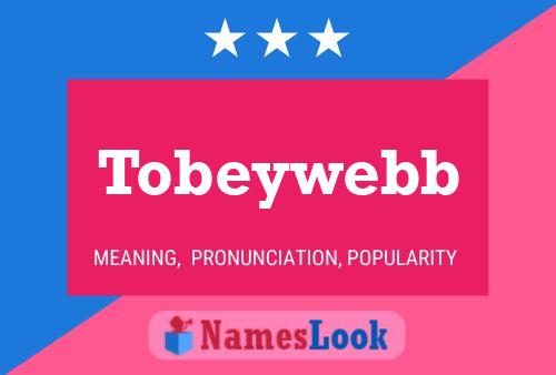 Póster del nombre Tobeywebb