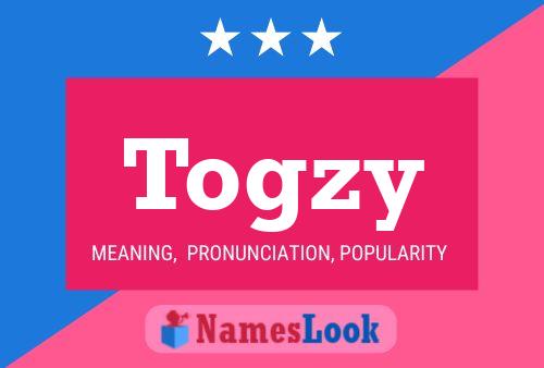 Póster del nombre Togzy