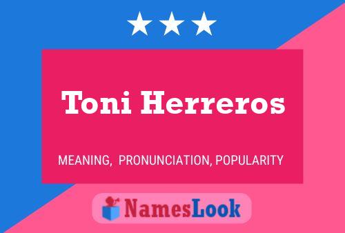 Póster del nombre Toni Herreros