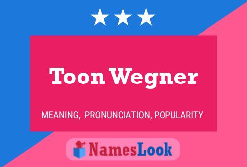 Póster del nombre Toon Wegner