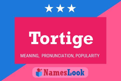 Póster del nombre Tortige