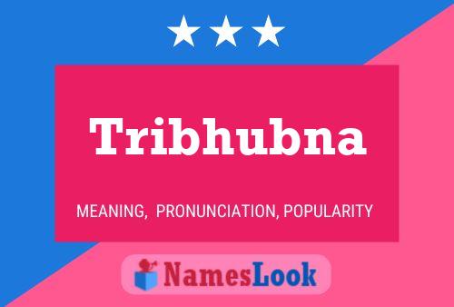 Póster del nombre Tribhubna